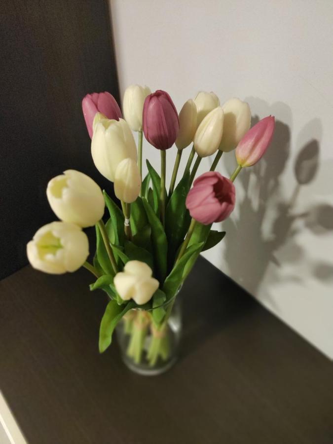 Casa Vacanze Zia Rose Наполи Екстериор снимка